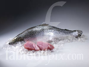 salmon.jpg